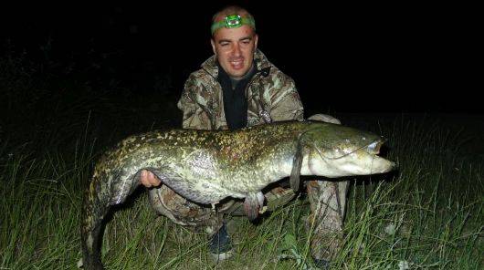 Živé vysielanie na tému Sumčia prívlač v pondelok 24. júla Živé vysielanie na tému Sumčia prívlač v pondelok 24. júla