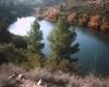 Lov na Rio Ebro – malí kapri