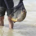 De� venovan� DE�OM - fotogal�ria 138_Workshop 2014.JPG