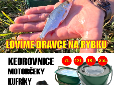Boxy, kedrovnice a motorčeky na lov dravcov