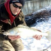 Tip pr�vla�iara Pa�a Va���ka: N�straha Curly