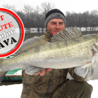 LAST MINUTE - lov zub��a - S�va/Chorv�tsko