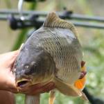 De� venovan� DE�OM - fotogal�ria 219_Workshop 2014.JPG