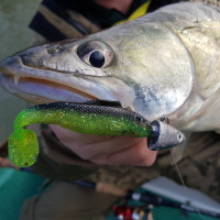 Umel� n�strahy na pr�vla� - RELAX