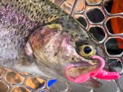 Pstruhové nástrahy FishUp sú stávkou na istotu