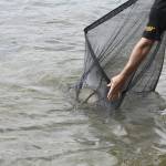 De� venovan� DE�OM - fotogal�ria 133_Workshop 2014.JPG