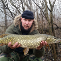 Odporúčania od rybárov: Nástrahy Salmo Sweeper a Relax kopytá