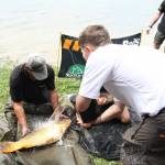 De� venovan� DE�OM - fotogal�ria 168_Workshop 2014.JPG