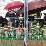 Browning Feeder Cup 20152_0760.JPG