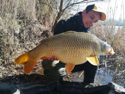 Kaprový prút Sportex Catapult CS-3 Carp (recenzia)