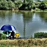 Browning Feeder Cup 2015_0974.JPG