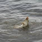 De� venovan� DE�OM - fotogal�ria 197_Workshop 2014.JPG