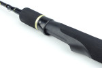 Curve Spin RS-2