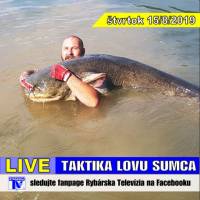 Poz�vame v�s: RTV LIVE na stope sumcom