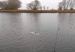 Quantum RADICAL WINTER CARP CUP - galeria 2