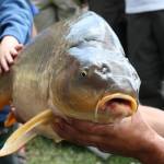 De� venovan� DE�OM - fotogal�ria 150_Workshop 2014.JPG