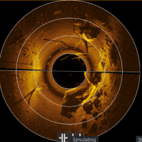 Novinka: Lowrance Ghost 360° Novinka: Lowrance Ghost 360°