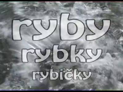 Televízna relácia o rybách a rybároch Ryby, rybky rybičky na špecializovaným televíznym kanálom o love, rybolove, prírode a dobrodružstve - Fishing and Hunting!!!
