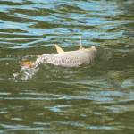 De� venovan� DE�OM - fotogal�ria 287_Workshop 2014.JPG