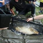 De� venovan� DE�OM - fotogal�ria 164_Workshop 2014.JPG