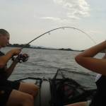 De� venovan� DE�OM - fotogal�ria 