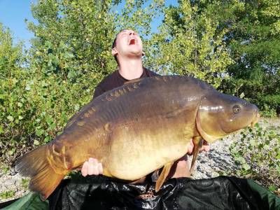 Letná topka na kapra: Rybacie boilies a dipy