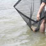 De� venovan� DE�OM - fotogal�ria 136_Workshop 2014.JPG