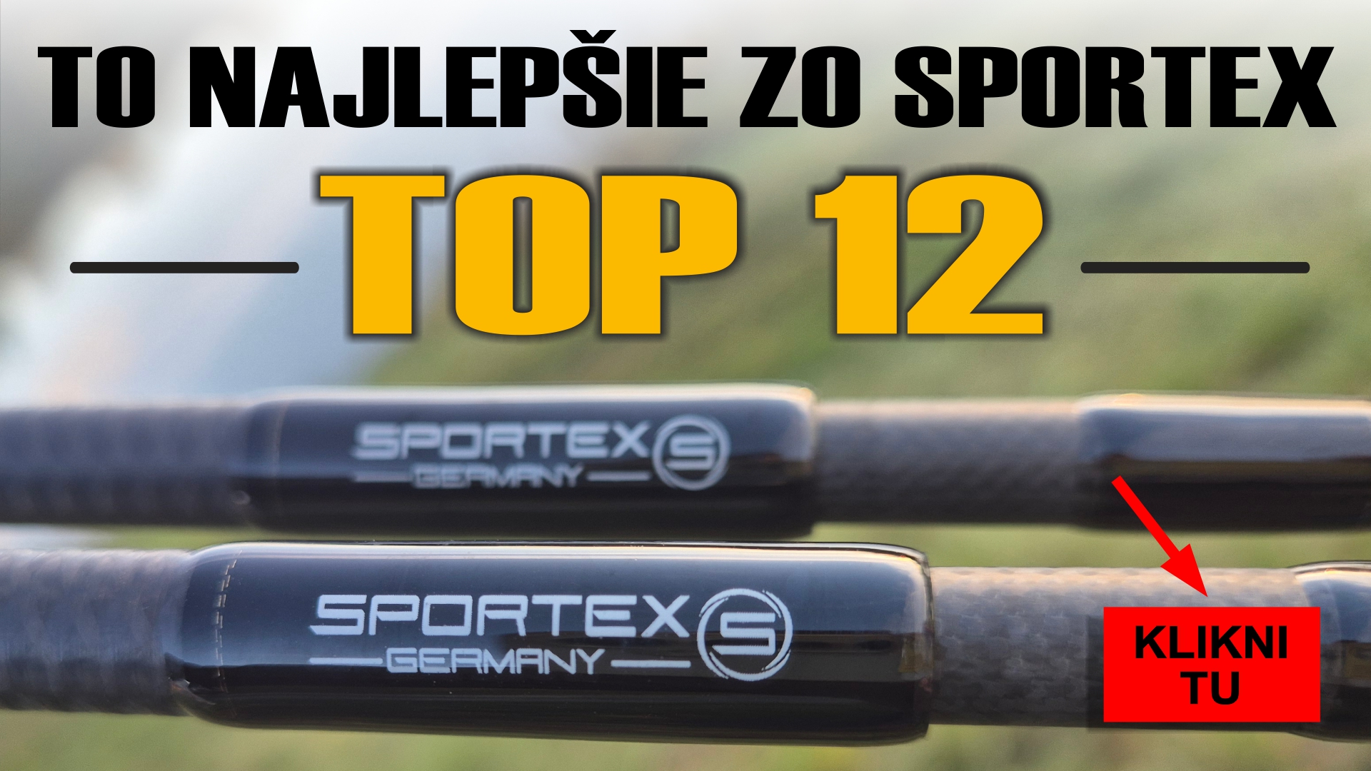 Sportex - TOP 12