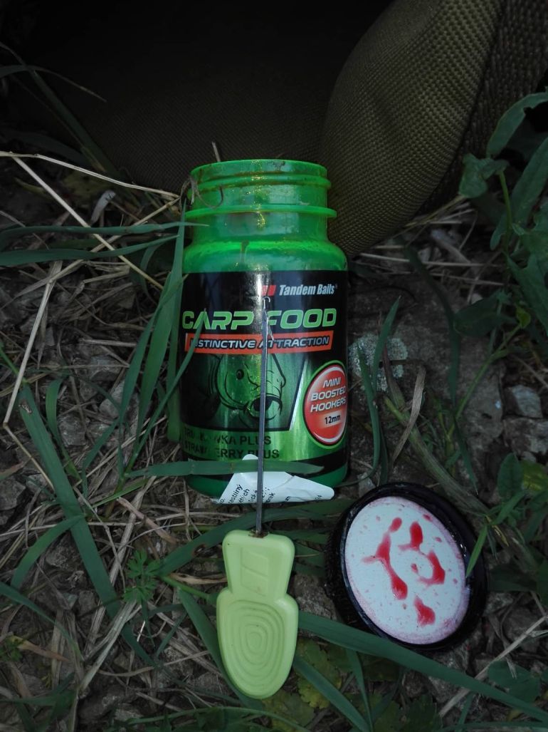 carp food