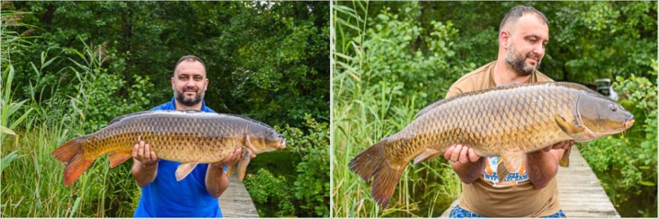 Obr. 6 Dve ryby podobnej vekosti (asi 12 kg). Na fotografii vpravo vyzeraj ryby vie vaka lepiemu orezaniu (vyplnenie rmu) a mierne skrytm prstom.