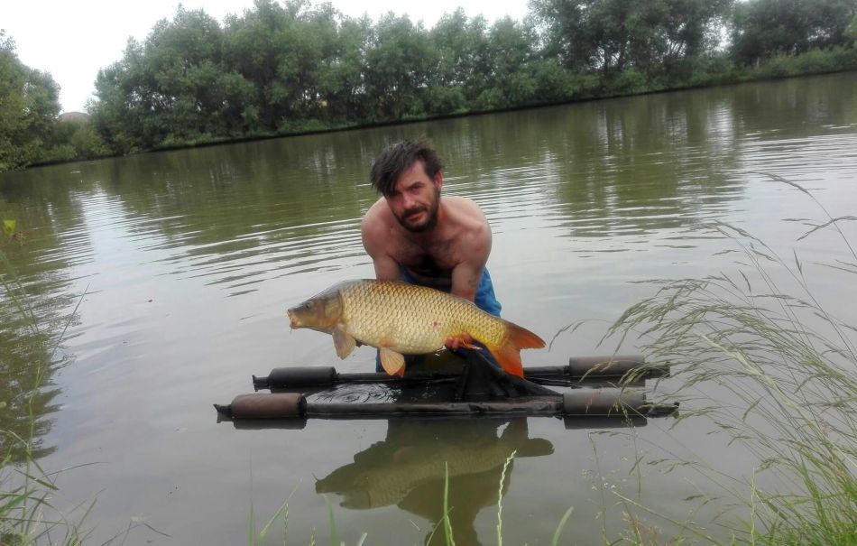 dávid hrbek