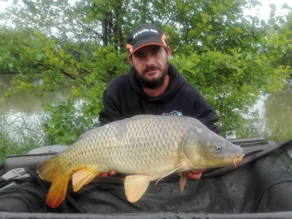 dávid hrbek