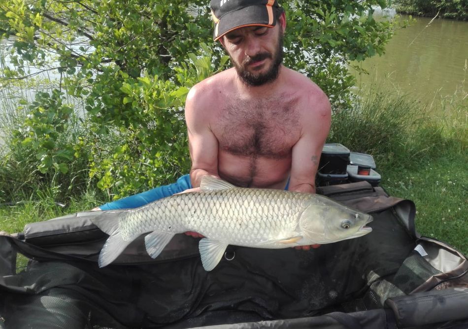 dávid hrbek