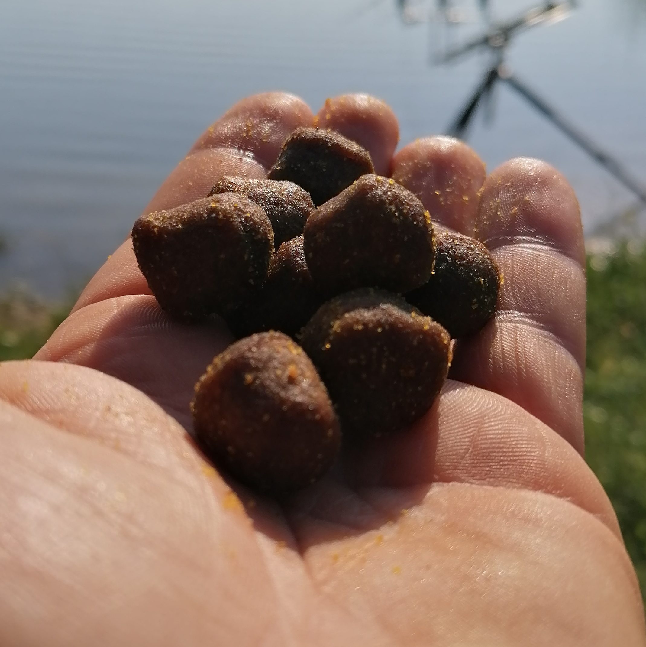 boilies