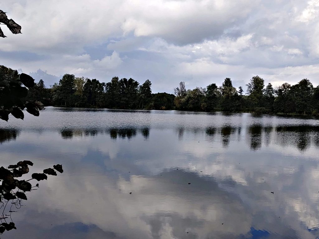 hľadanie lovného miesta