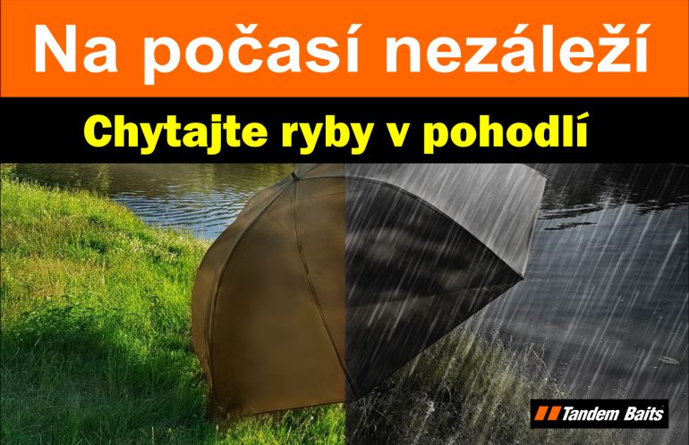 dáždniky