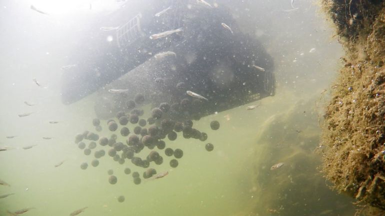 zavážacia loďka krmenie lovného miesta boiliesom