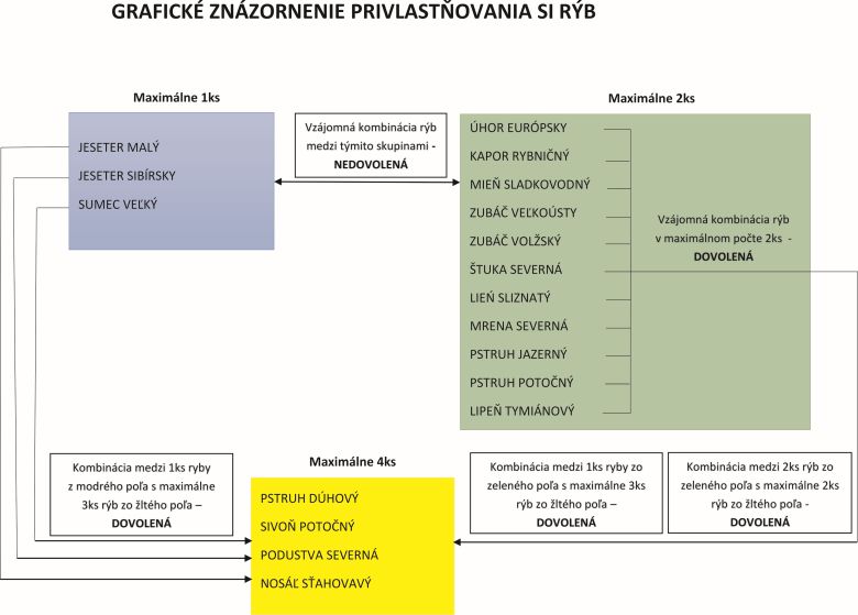 Grafick znzornenie privlastnenia si rb