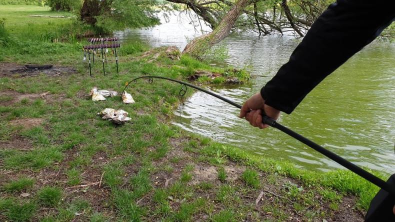 test zaťaženia prútu catapult cs-3 stalker