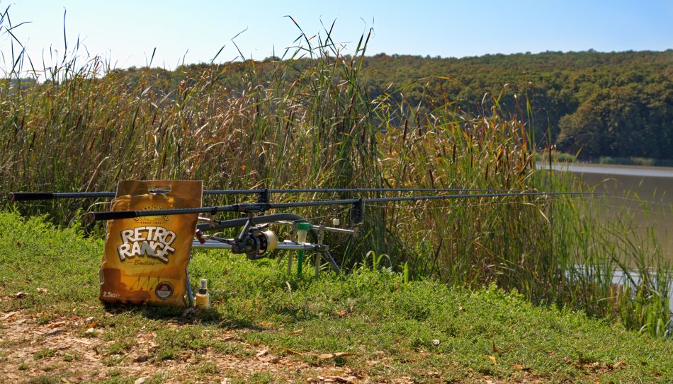 Sportex Revolt Carp