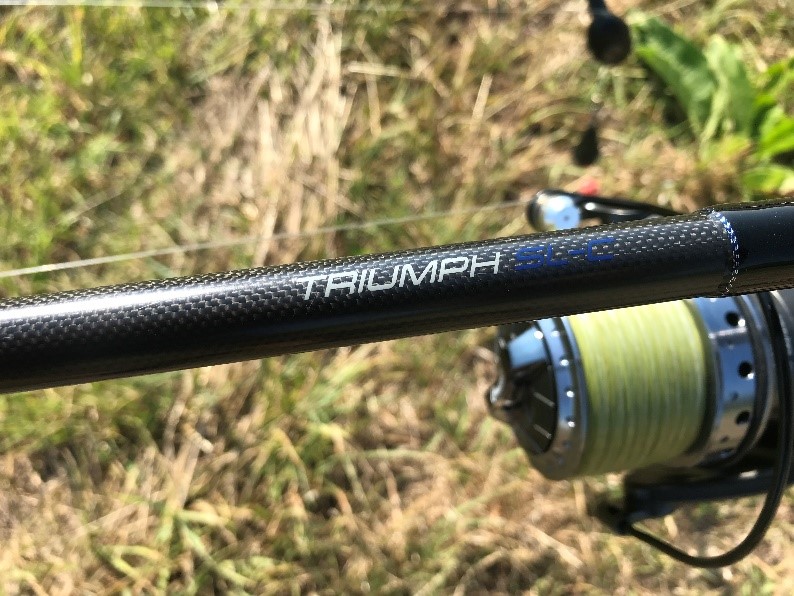 triumph carp