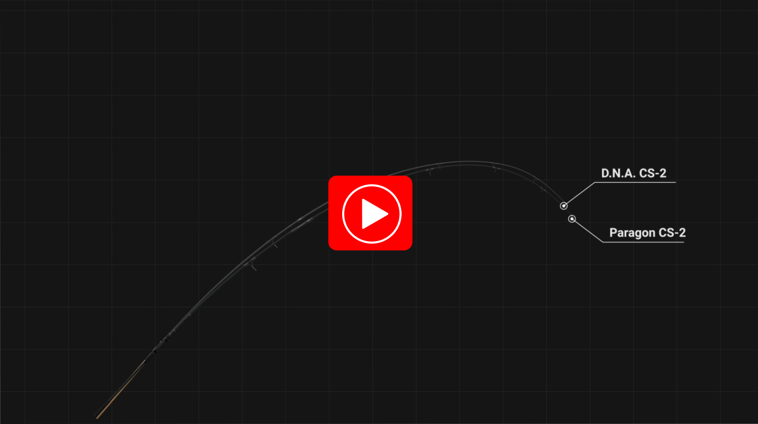 D.N.A. CS-2  3,66m - 12ft - 3,00lbs vs. Paragon CS-2 3,66m - 12ft - 3,00lbs