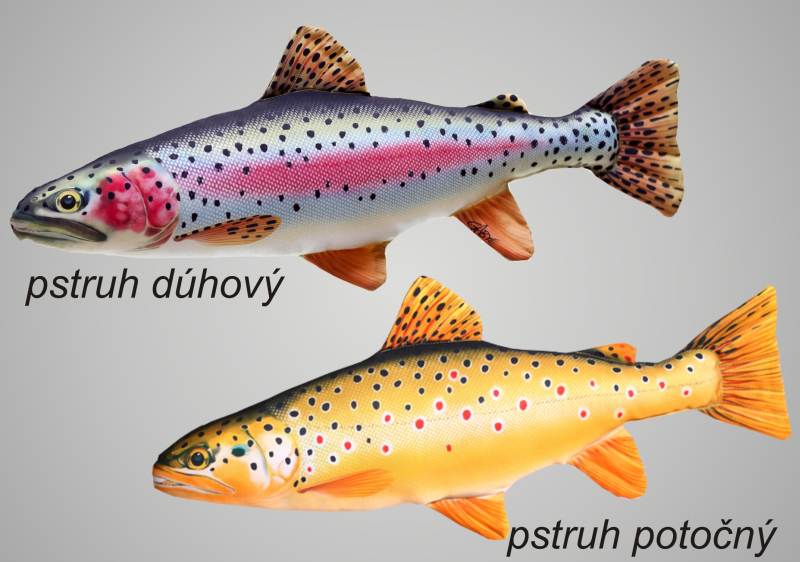 Dekoračný vankúš - PSTRUH mini 35-45cm