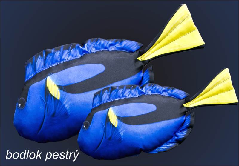 Dekoračný vankúš - Bodlok pestrý Vankúš 56cm