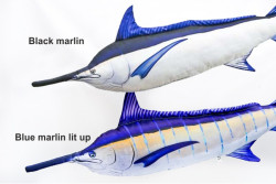 Dekoran vank  - Black marlin 118 cm