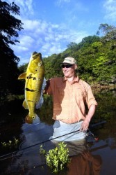 MORADA ko�e�a GEOFF Anderson  dl.r. cactus