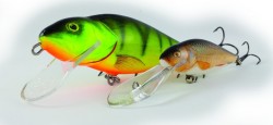 Salmo rybarske voblery  perch PH14SDR