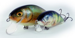 Salmo ryb�rske woblery  FATSO CRANK F10C