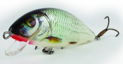 Salmo ryb�rske woblery  warrior crank WC15F