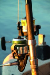 Fin-Nor Sportfisher rybrsky navijak Spinning FS 50